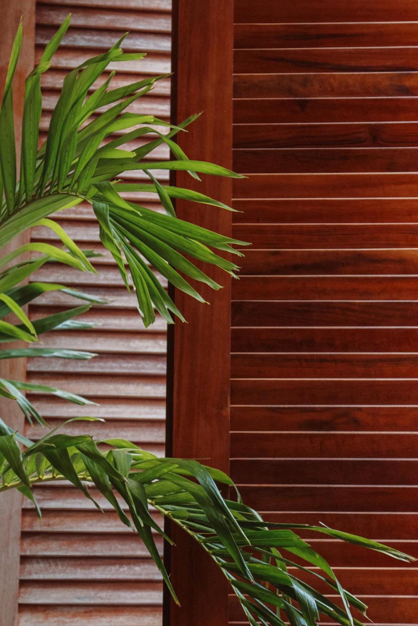 Luau Hotel Guajiru  Εξωτερικό φωτογραφία